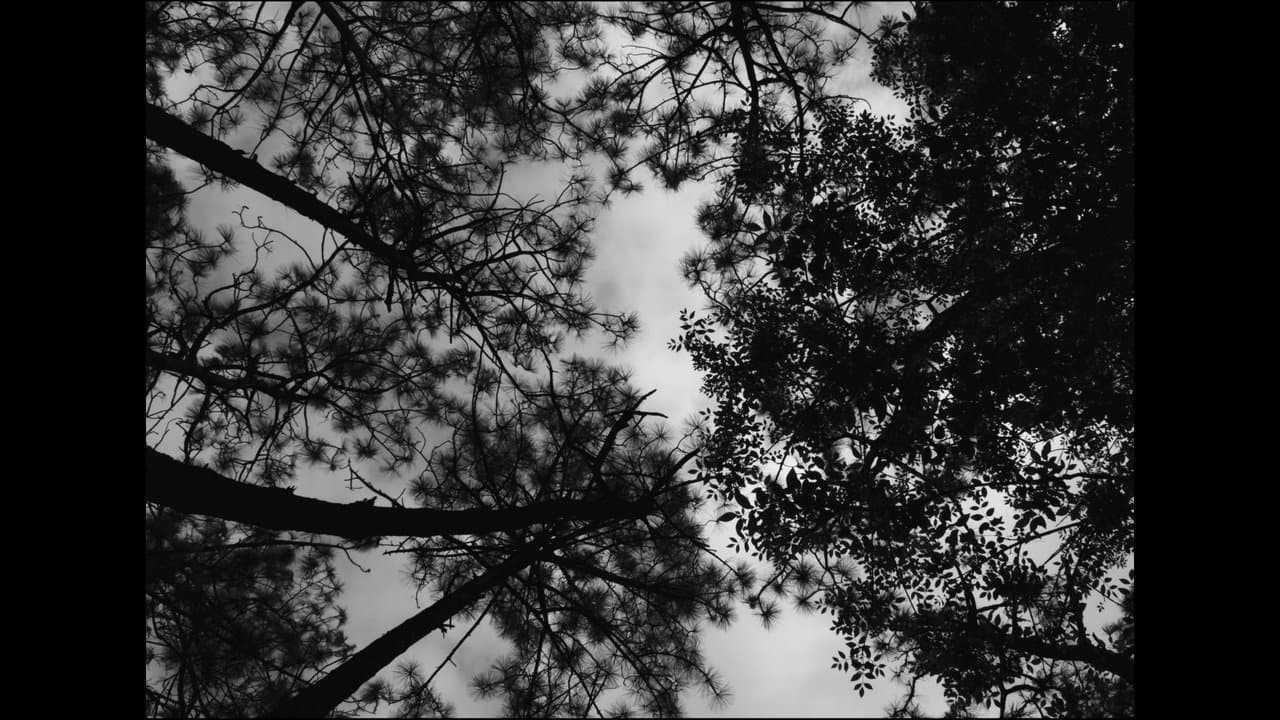 Frankenstein The Creature