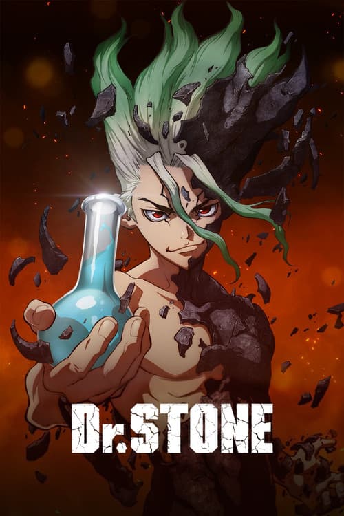 Dr. STONE