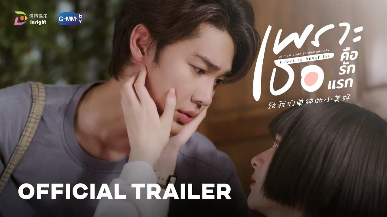 A Love So Beautiful trailer