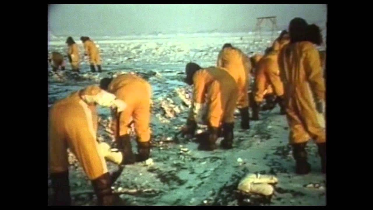 The Idealist trailer