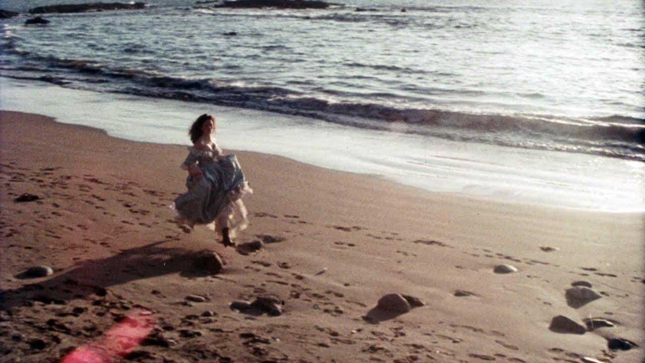 Naked Gun 33⅓: The Final Insult trailer