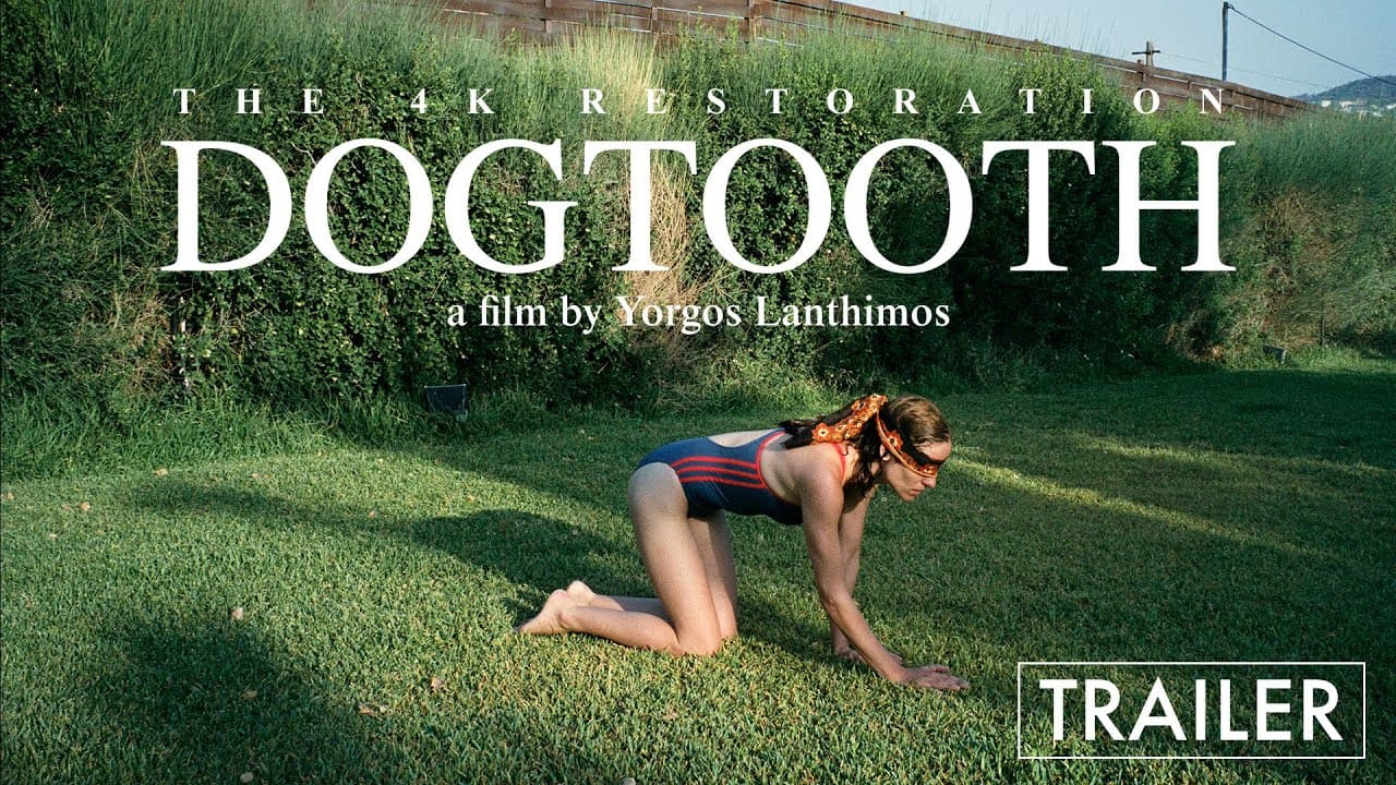 Dogtooth trailer