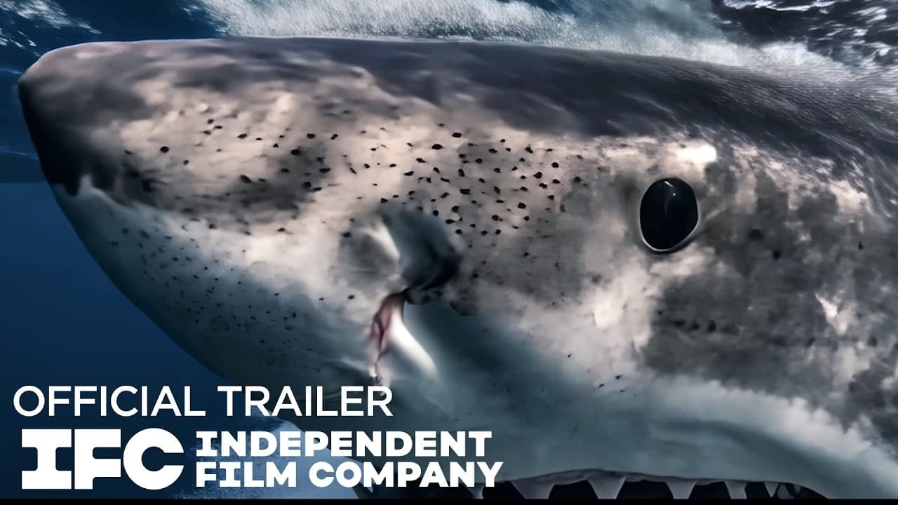 Chum trailer