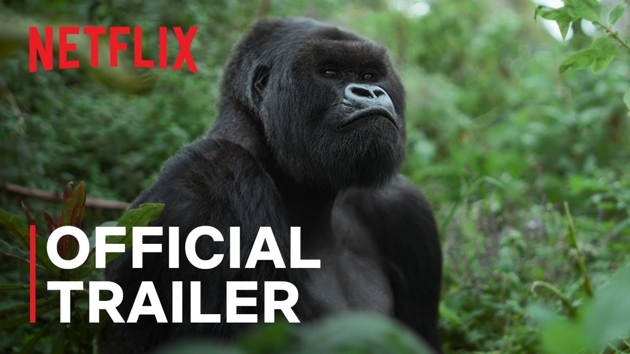A Gorilla Story: Told by David Attenborough trailer