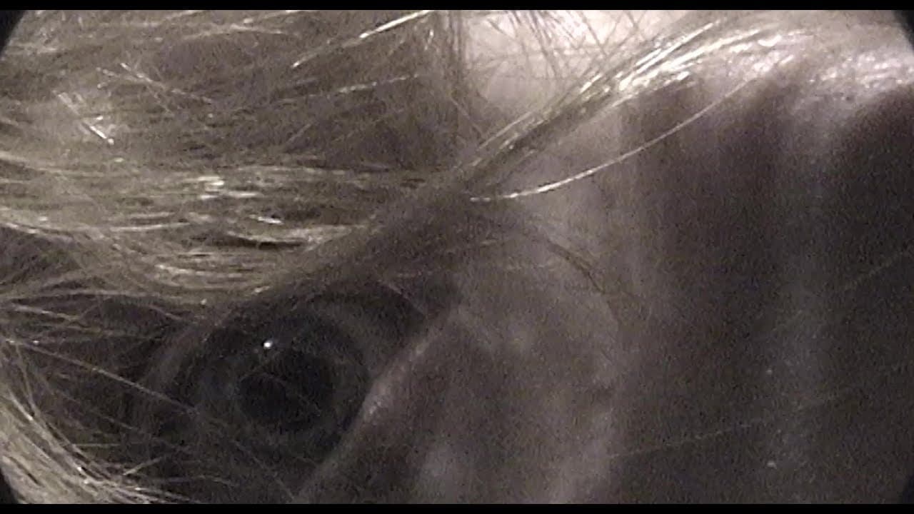 Castration Movie Anthology ii. The Best of Both Worlds trailer