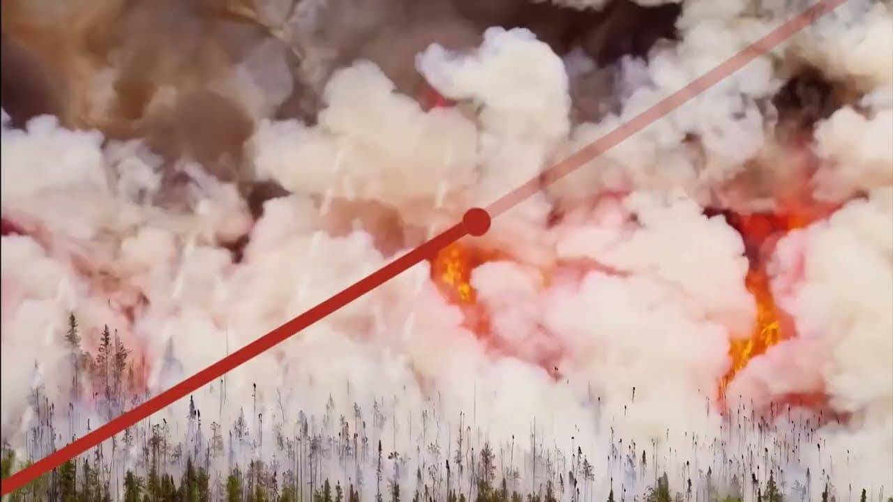 The White House Effect trailer